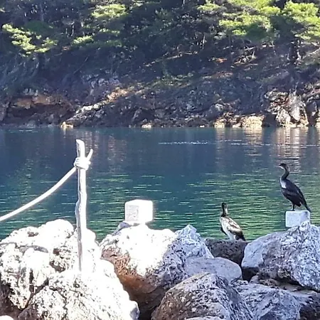 Διαμέρισμα Seaside