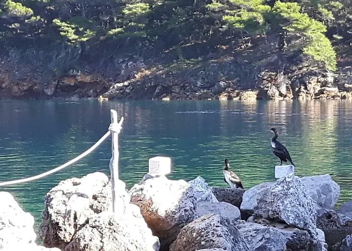 Appartamento Seaside
